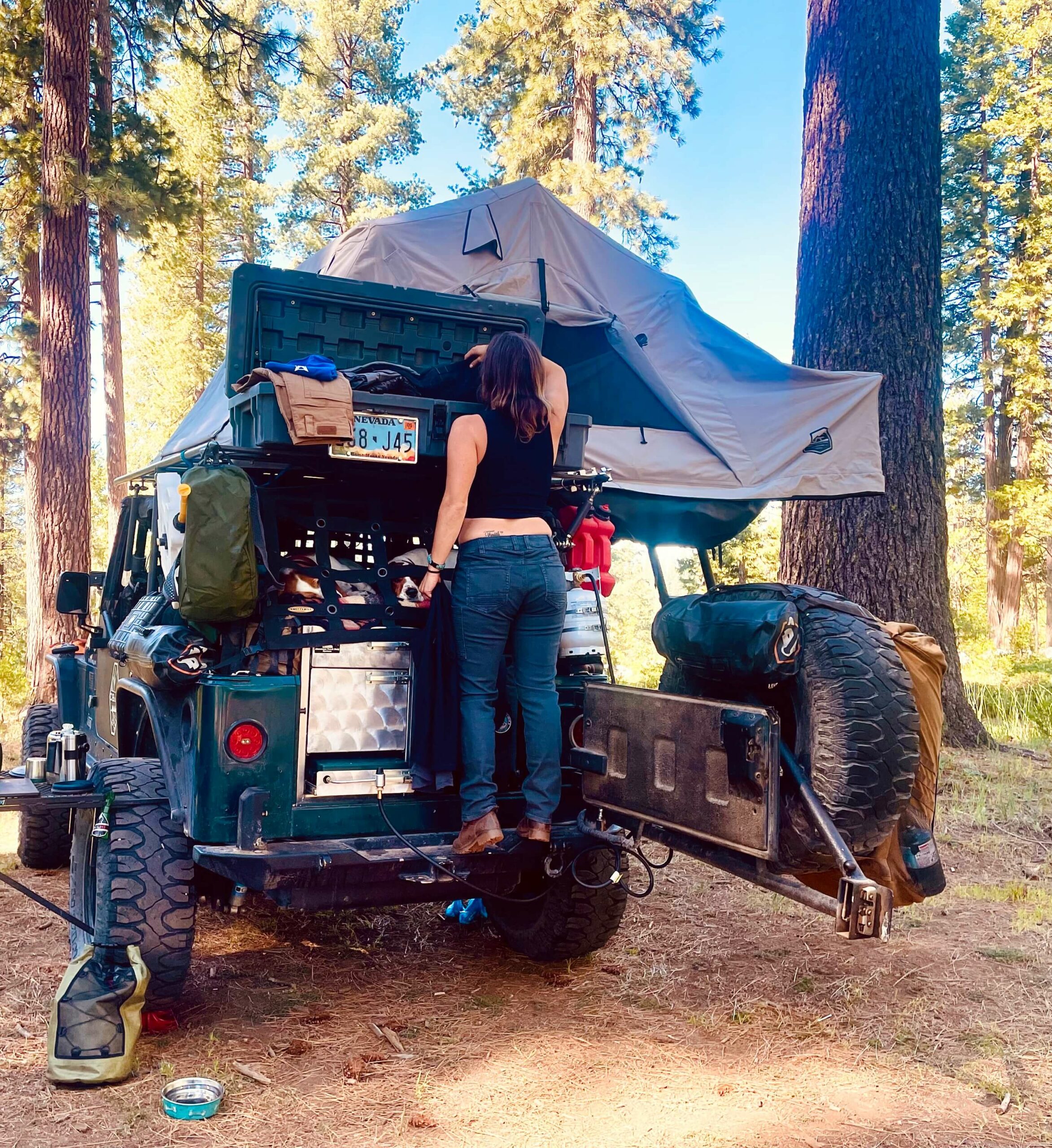 EDDA937D-1C8A-4F74-A176-C37E2853F975 Rooftop storage for long term overlanding.