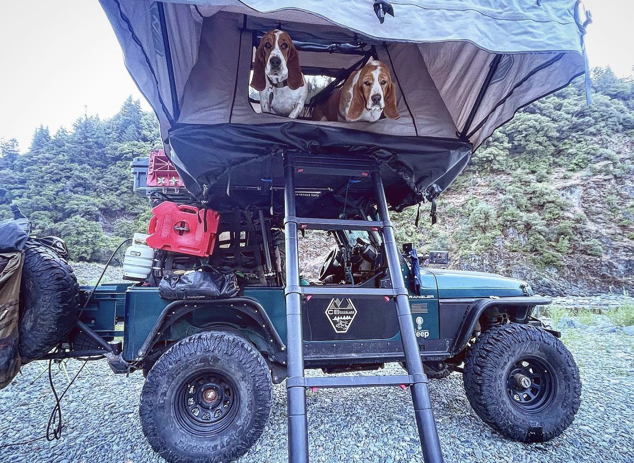 IMG_3997 Blue and Charlie the basset hounds in a roof top tent