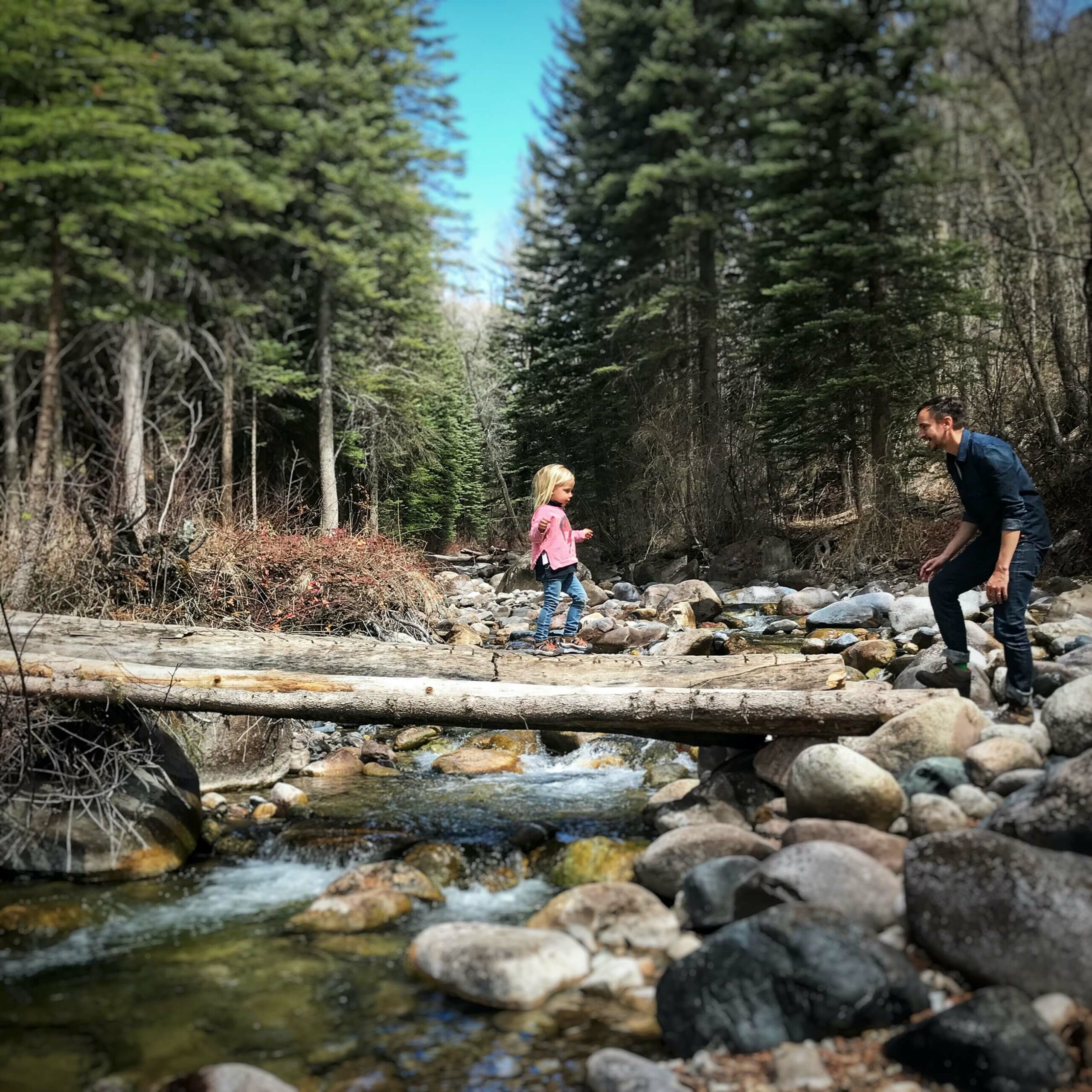 morgan-david-de-lossy-FEX0KgEik4o-unsplash Little girl crossing a log over a creek in the forest with her father