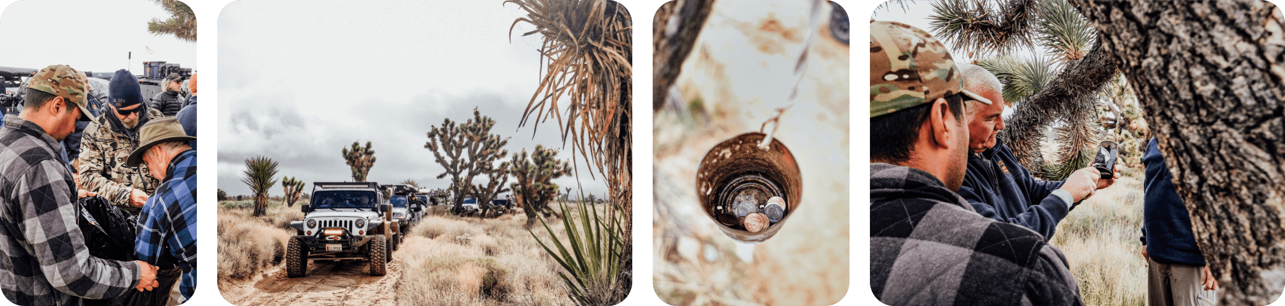 Mojave IMAGE GRID - ROW M
